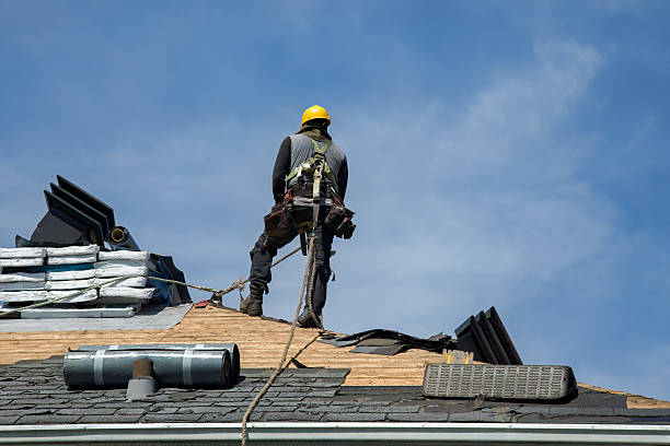 Professional Roofing technician working in Hollins, AL